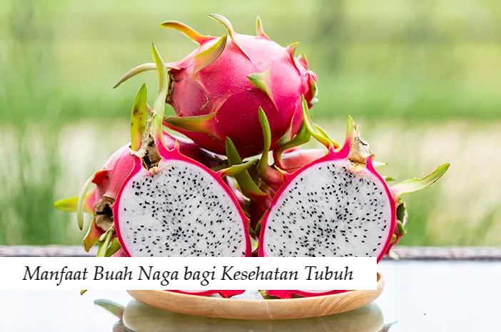 Manfaat Buah Naga